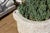 Alabaster Monumental Chiseled Alabaster Marble Basin For Sale - Image 8 of 9