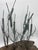 Mid-Century Modern Curtis Jere Style Coastal Cattails and Driftwood Brutalist Sculpture For Sale - Image 3 of 9