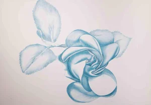 Giacomo Porzano, Blue Rose, Original Etching, 1970s
