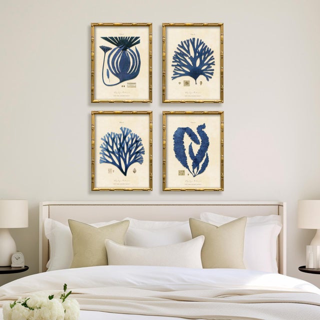 2020s Vintage Blue Seaweed Art Print Reproduction (4), Framed For Sale - Image 5 of 5