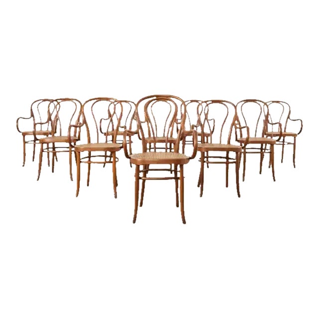 Set of Ten 19th Century J and J Kohn Bentwood Cane Armchairs For Sale