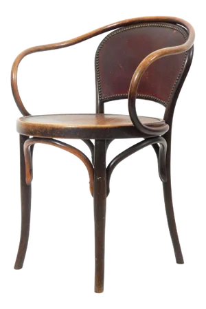Sculptural Bentwood Armchair by Jacob & Josef Kohn, circa 1900