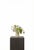 A soft, layered arrangement featuring cream peony, green and cream hydrangea, and delicate Queen Anne’s lace. Light...