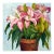 Square Impasto Floral Painting of Lilies For Sale