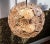 Chrome and Crystal Glass Flower-Bucket Starburst Ballroom Pendant Light, Germany, 1960s For Sale - Image 6 of 11
