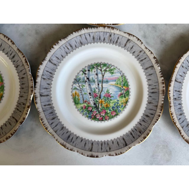 Royal Albert Set of 6 Royal Albert Bone China Salad Plates in the Silver Birch Pattern For Sale - Image 4 of 10
