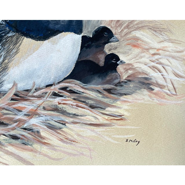 Traditional Loon Shore Bird Painting by McCoy For Sale - Image 3 of 4