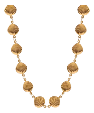 Sun Kissed Seashell Energy Necklace