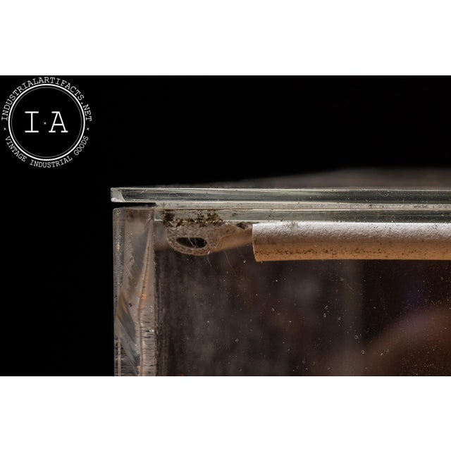 Late 20th Century Health Edco Innocent Smoker Educational Demonstration Model For Sale - Image 15 of 18