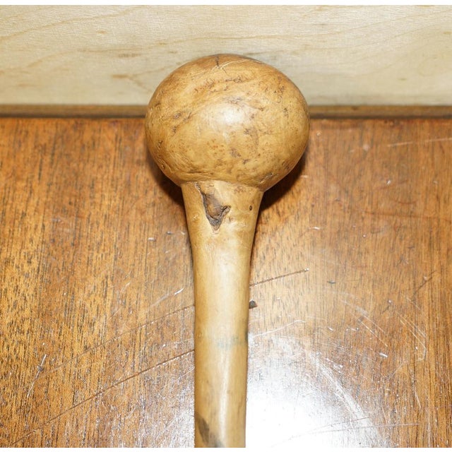Antique Irish Knobkerrie Stick For Sale - Image 3 of 18