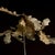 Not Yet Made - Made To Order Guy Sargent, Oak Leaves, Archival Pigment Print For Sale - Image 5 of 6