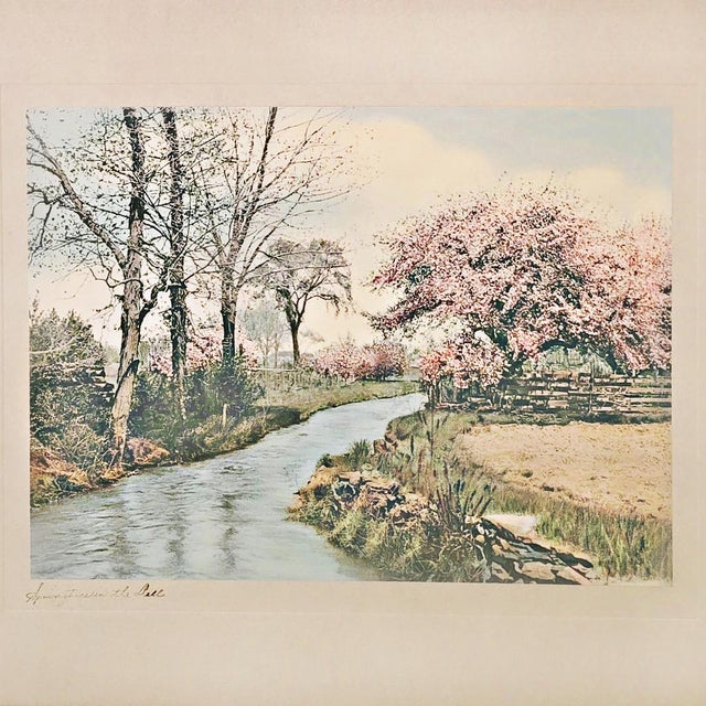American Vintage Wallace Nutting "Springtime in the Dell" Framed Landscape Print For Sale - Image 3 of 12