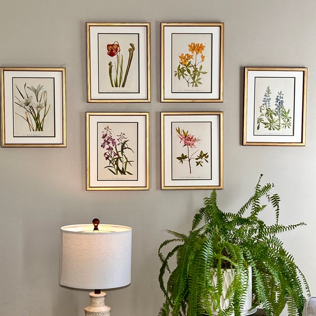 Mid 20th Century Framed Vintage Botanical Prints - Set of 6 | Chairish
