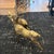 1950s Mid-Century Modern Brass Deer - a Pair For Sale - Image 4 of 12