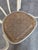 Vintage Dining Chair in White Beech and Bentwood Cane Seat, 1970s For Sale - Image 18 of 18