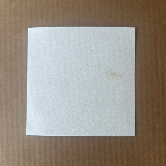 Realism “Cat Fancy” Original Watercolor Painting by Nancy Smith For Sale - Image 3 of 3