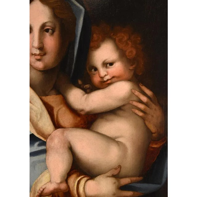 Workshop of Andrea del Sarto / Andrea d'Agnolo di Francesco, Madonna and Child, 1530, Oil on Board For Sale - Image 12 of 18