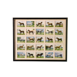 English Traditional Framed British Collector "Types of Horses" Cigarette Cards For Sale
