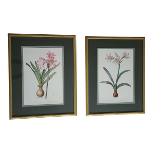 Vintage Pierre-Joseph Redoute Botanical Lily Flowers Reproduction Framed Prints-a Pair