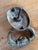 19th Century English Bronze Lion Door Knocker With Cherub Mask For Sale - Image 6 of 6