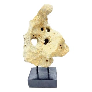 Indonesian Coral Stone On Teak Stand For Sale