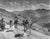 Mountain Stage 18th August 1951: Cyclists competing in the Tour de France riding through the French Alps. Original...