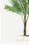 Tropical Palm Botanical, Vintage Art Print Reproduction, 40" X 60" For Sale - Image 9 of 10