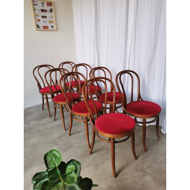 Vintage Bentwood Bistro Chairs, 1970s, Set of 8 For Sale - Image 14 of 18