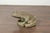 Late 20th Century American Giant Stone Frog with Patina, Originally Used as a Fountain For Sale - Image 11 of 11
