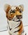 Not Yet Made - Made To Order Tiger Statue in Ceramic from Ceramiche Boxer For Sale - Image 5 of 7
