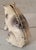 Early 20Thc Original cast iron painted pig penny bank.