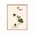 Antique Botanical Set in Oxblood - Set of 8 11" X 14" For Sale - Image 10 of 12
