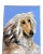Large Contemporary Original Afghan Hound Dog Portrait Painting Signed For Sale