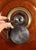 Wood Safe Cabinet in Walnut, Iron and Steel, Milano, 1876 For Sale - Image 7 of 18
