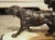 A French 1930s Hunting Dog Group on Marble Base For Sale - Image 17 of 18
