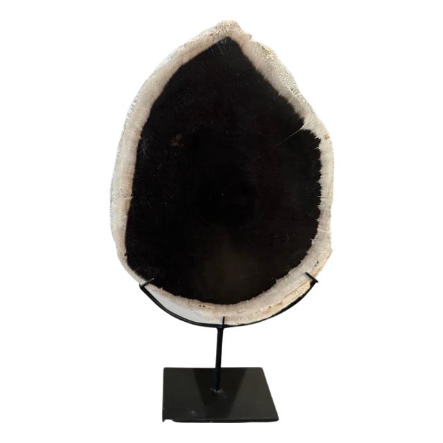 Andrianna Shamaris Minimalist Petrified Wood on Stand For Sale