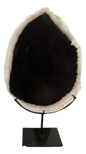 Andrianna Shamaris Minimalist Petrified Wood on Stand