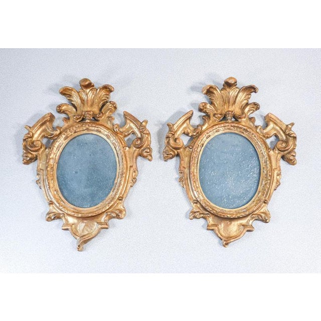 Louis XV Mirrors in Gilded Ceramic, Set of 2 For Sale - Image 10 of 18