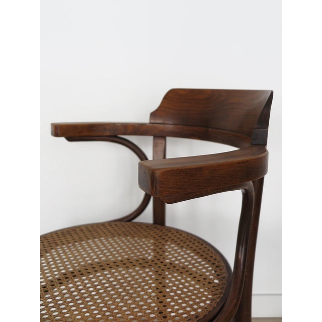 Vintage Chairs by Michael Thonet for Thonet, 1930s, Set of 6 For Sale - Image 16 of 18