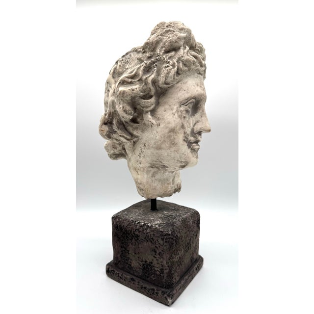 Late 20th Century Late 20th Century Attila’s Classical Fragment Head Sculpture on Pedestal - Reproduction For Sale - Image 5 of 8