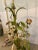 1950’s Italian Tole Floor Lamp For Sale - Image 4 of 12