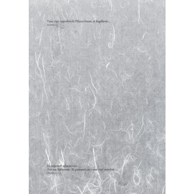 1960s 1969 Salvador Dalí Biblia Sacra Lithograph "Iesus Flagellatus" (Jesus Flagellation) For Sale - Image 5 of 8