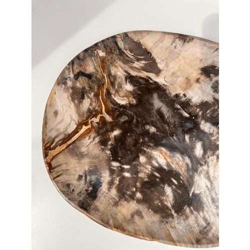 Very Large Vide-Poche or Dish in Petrified Wood For Sale - Image 11 of 18