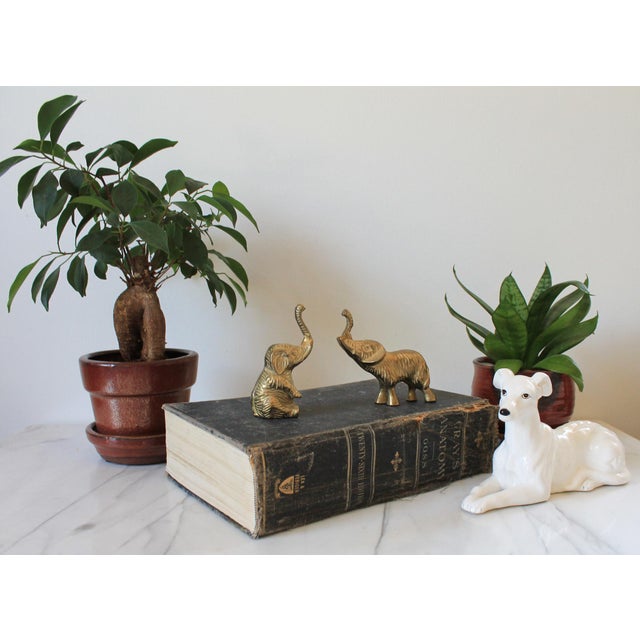 Early 20th Century Vintage Brass Elephant Figurines For Sale - Image 5 of 9