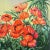 'Study of Red Poppies' by Alice Delmar-Oberth, 1978, New York Woman Artist, Art Students League, Met Opera For Sale - Image 4 of 7