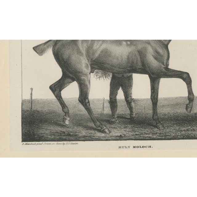 After Chalon, Muly Moloch Sporting Horse, Lithograph, 1840 For Sale - Image 5 of 9