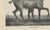 After Chalon, Muly Moloch Sporting Horse, Lithograph, 1840 For Sale - Image 5 of 9
