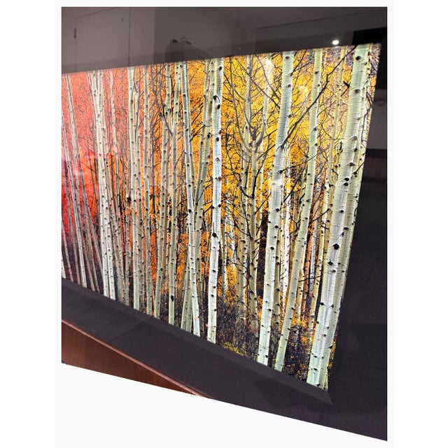 Peter Lik “Harmony” — Artist’s Proof Ap 44/45 | Large Framed Fine Art Photograph For Sale - Image 12 of 14