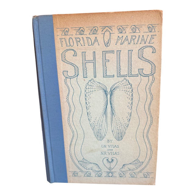 Florida Marine Shells by Cn Vilas and Nr Vilas For Sale