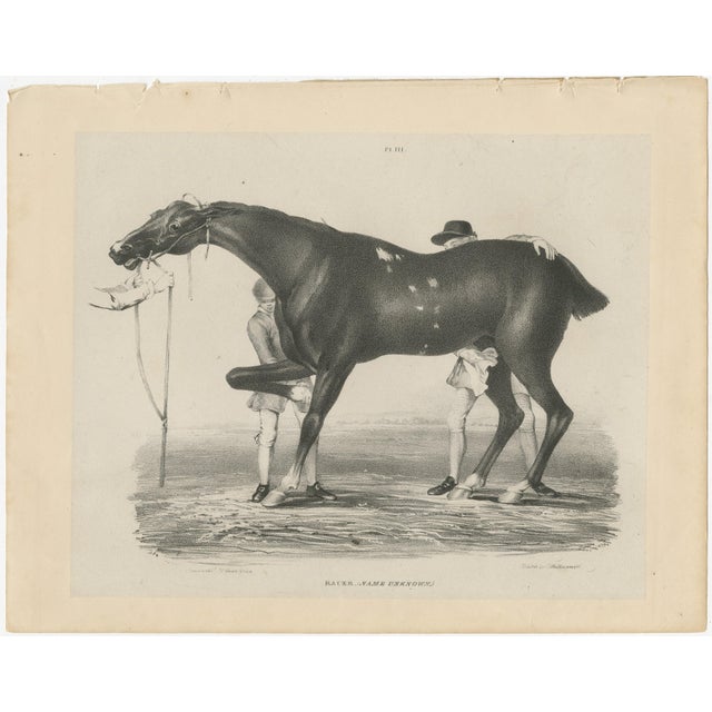 After Chalon, Racehorse Training Scene, Lithograph, 1840 For Sale - Image 3 of 9